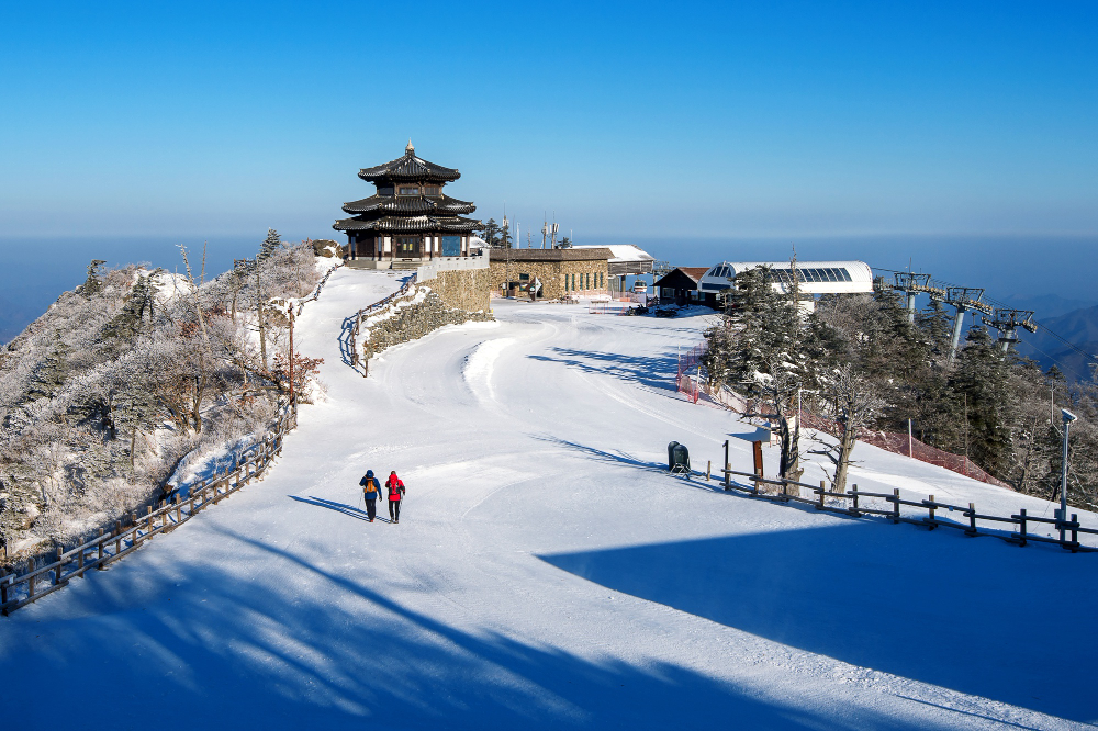 Shimla