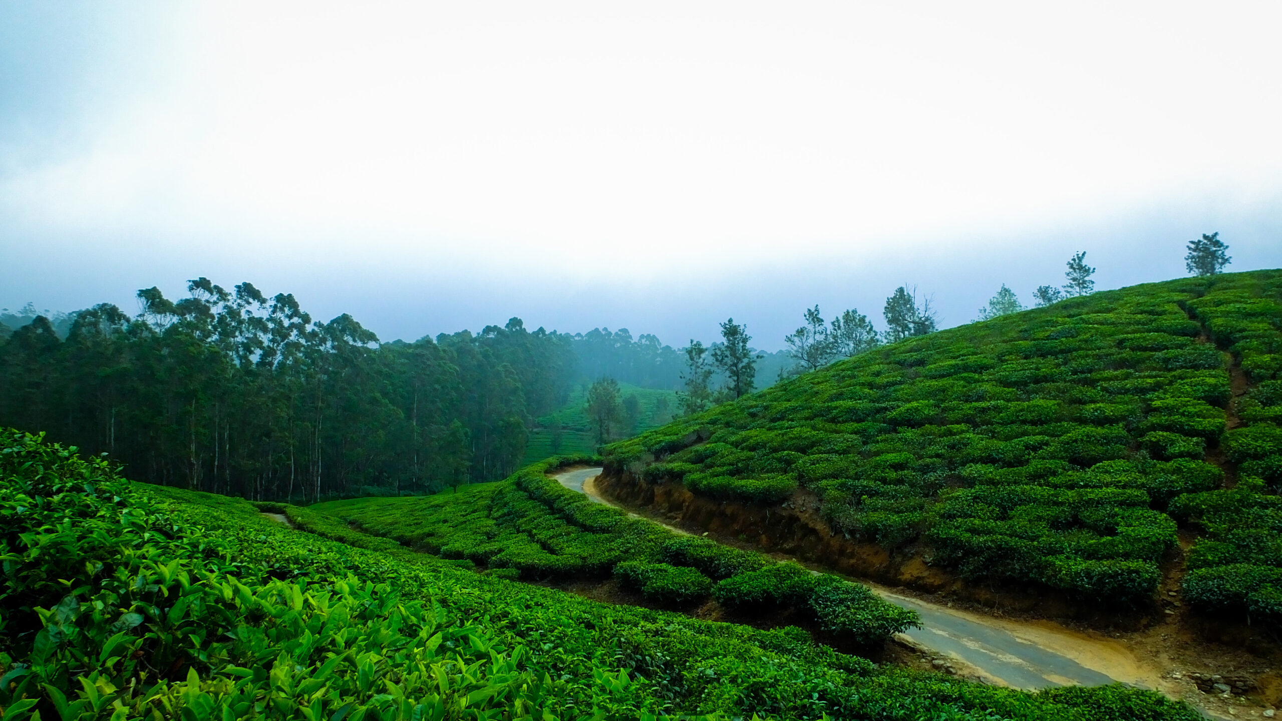 Thekkady